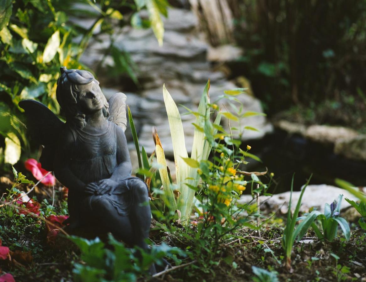 Le Jardin Sarlat Bed and Breakfast Buitenkant foto