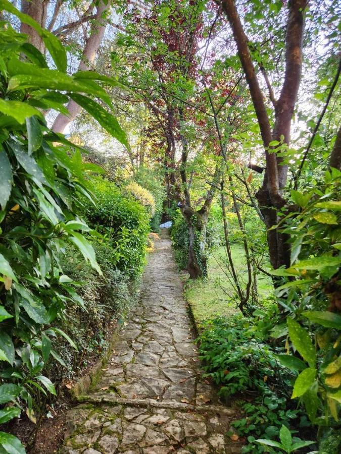 Le Jardin Sarlat Bed and Breakfast Buitenkant foto