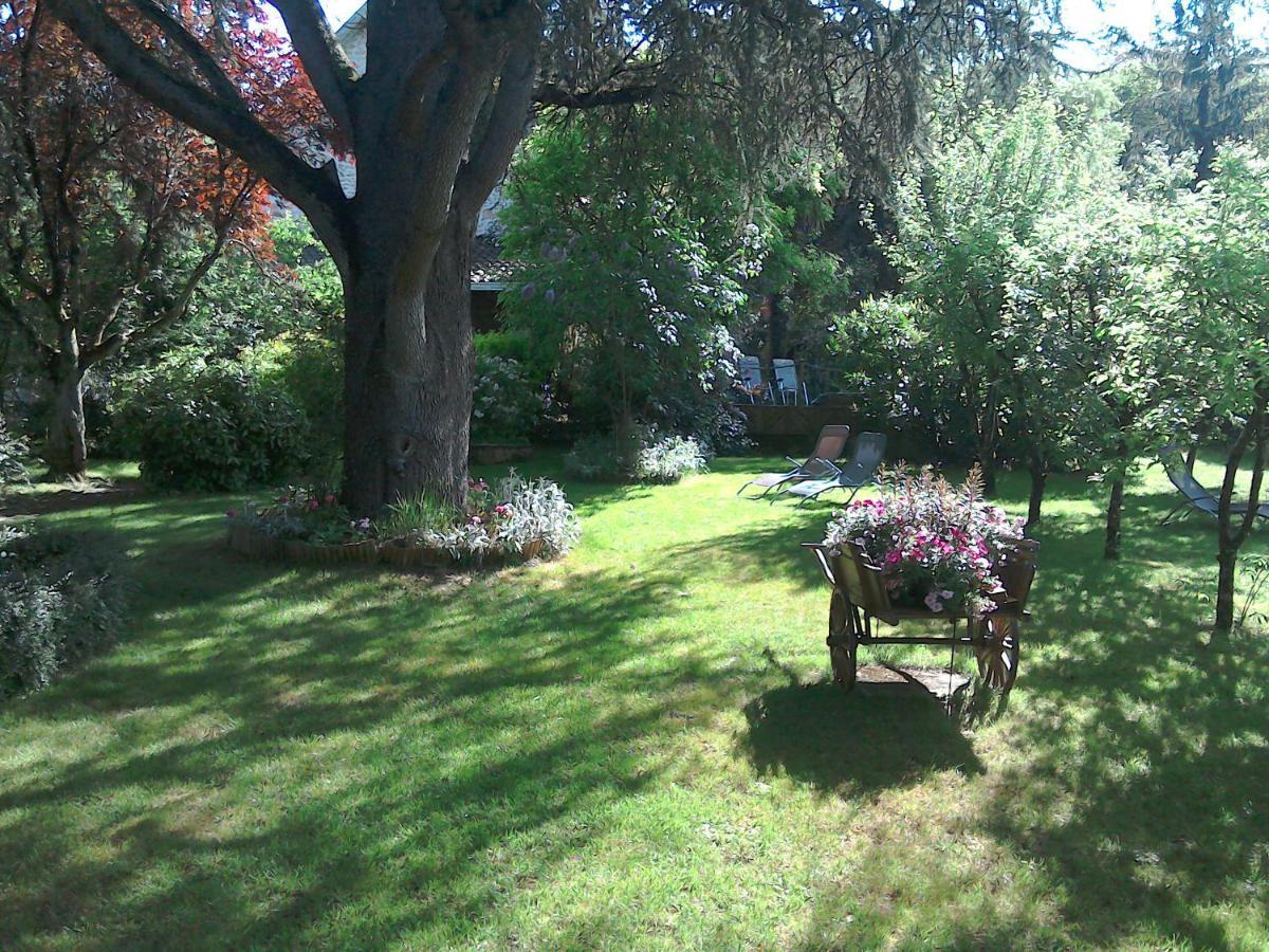 Le Jardin Sarlat Bed and Breakfast Buitenkant foto