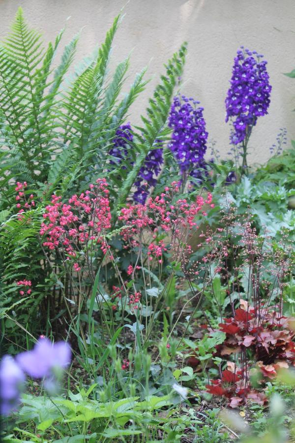 Le Jardin Sarlat Bed and Breakfast Buitenkant foto